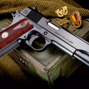GI Plus